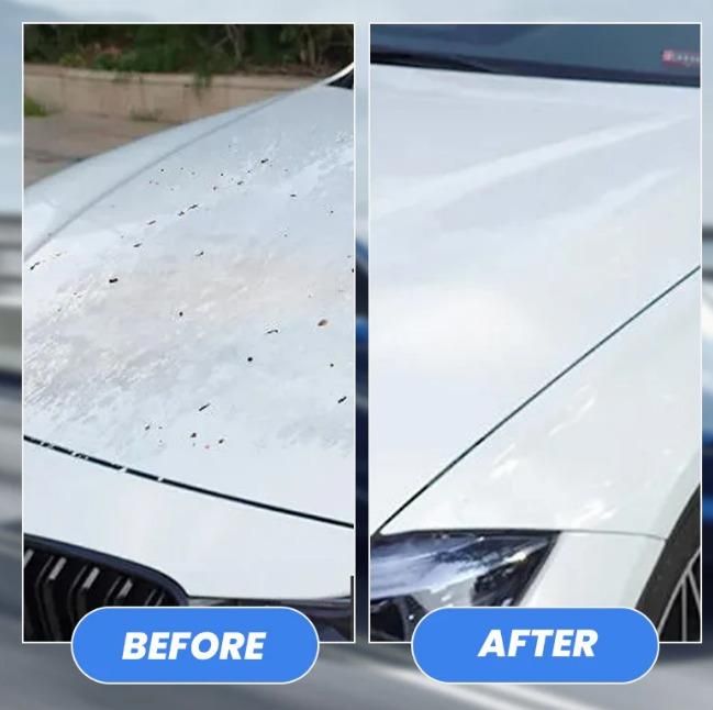 Bug Gum Remover For car 100ML